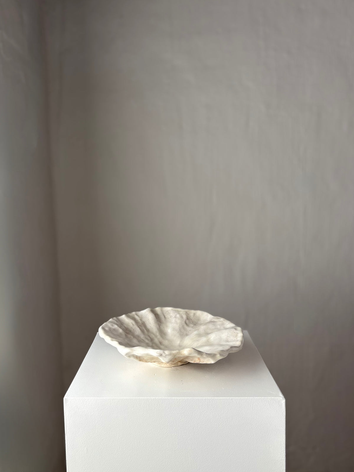FAD BEIGE 02